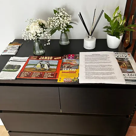 Goscinne Dudzinski 3*