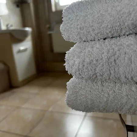 Goscinne Dudzinski 3* Лесьна