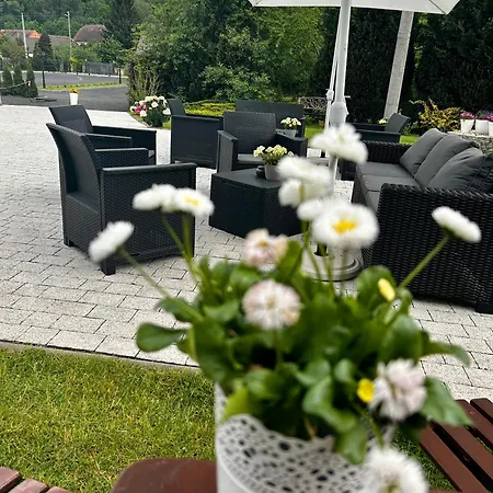 Goscinne Dudzinski 3* Leśna