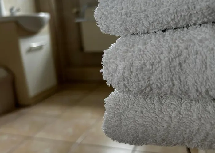 Goscinne Dudzinski 3* ليشنا