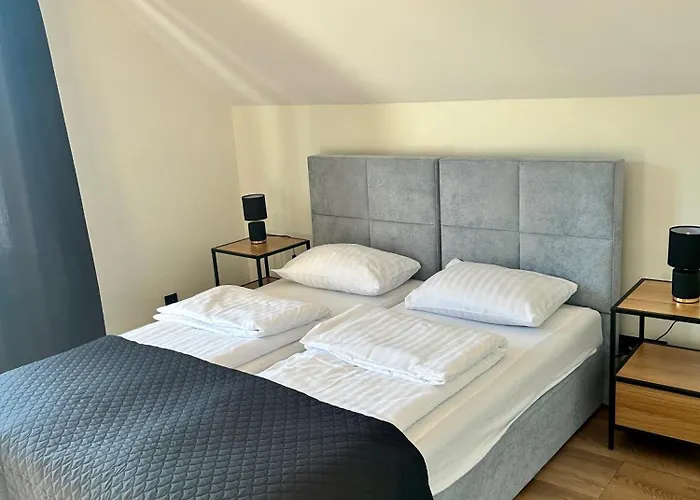 Goscinne Dudzinski بيت ضيافة